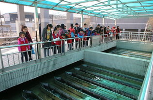 環(huán)保公眾開放日第一站 走進污水處理廠 看污水如何變清水