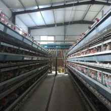 藁城區(qū)兵海籠具加工廠 供應(yīng)產(chǎn)品