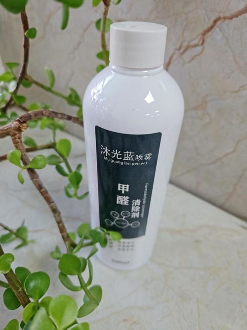 2025年家用除甲醛方法效果大測(cè)評(píng) 睿容環(huán)保等產(chǎn)品深度解析